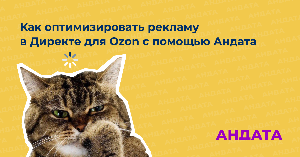 Как оптимизировать рекламу в Директе для Ozon c помощью Андата