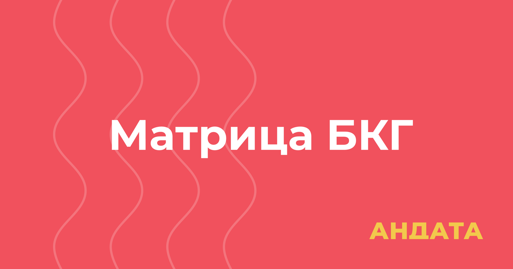 Использования матричной модели БКГ