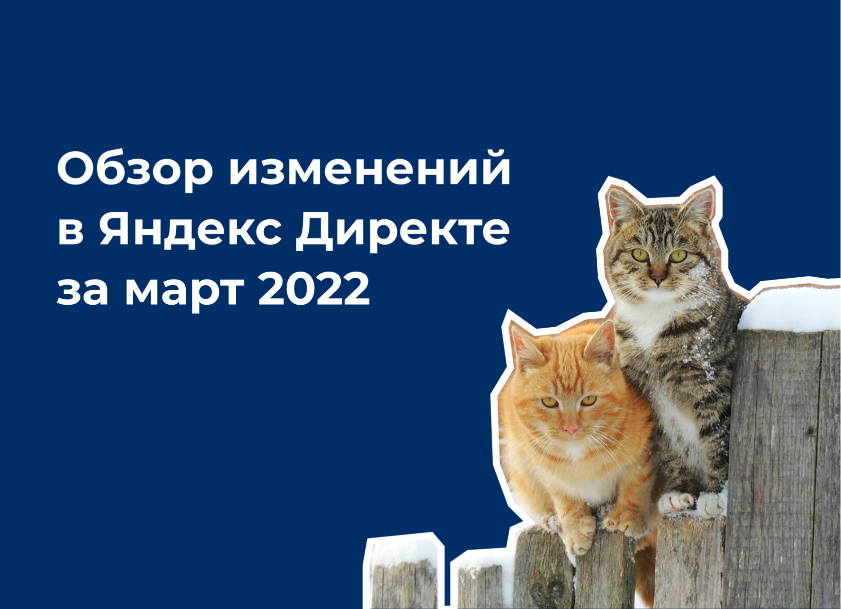 Обзор изменений в Яндекс Директе за март 2022